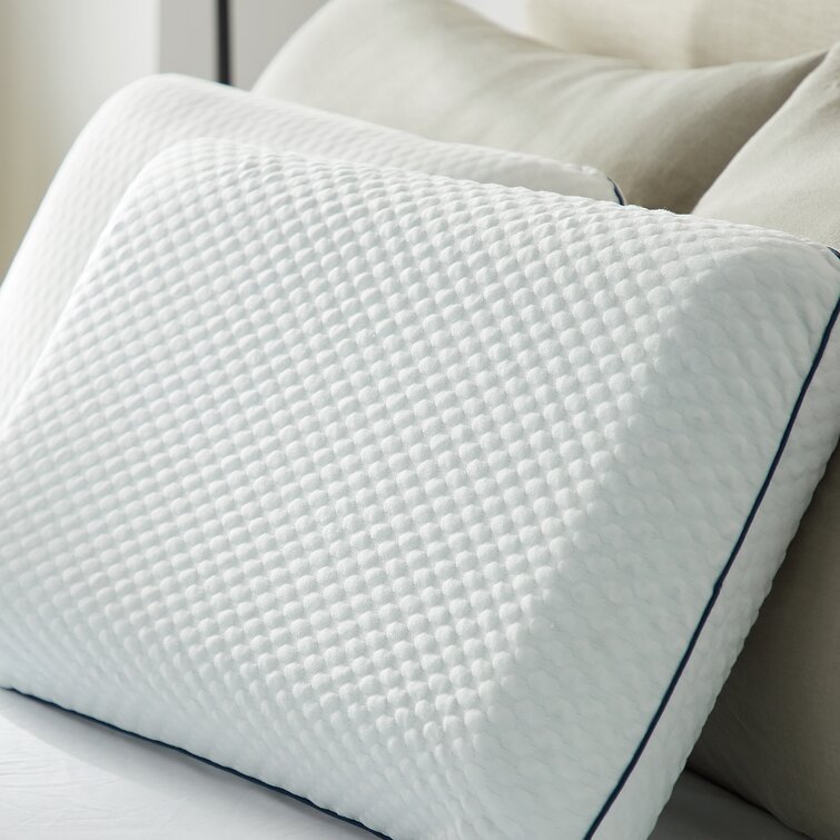 Wayfair memory hot sale foam pillow